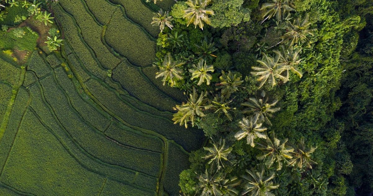 Chirurgie de la manche gastrique à Istanbul : Guide complet pour les patients